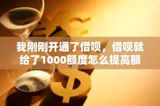 我刚刚开通了借呗，借呗就给了1000额度怎么提高额度
