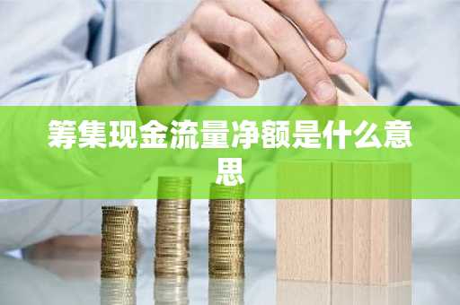 筹集现金流量净额是什么意思