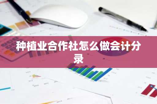 种植业合作社怎么做会计分录
