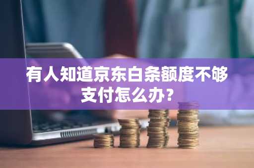 有人知道京东白条额度不够支付怎么办？