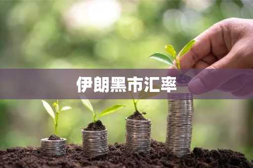 伊朗黑市汇率