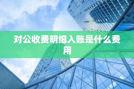 对公收费明细入账是什么费用