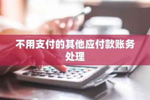 不用支付的其他应付款账务处理
