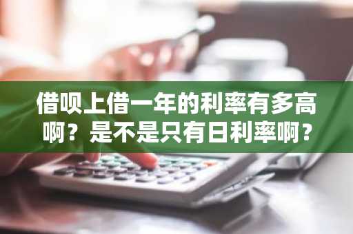 借呗上借一年的利率有多高啊？是不是只有日利率啊？