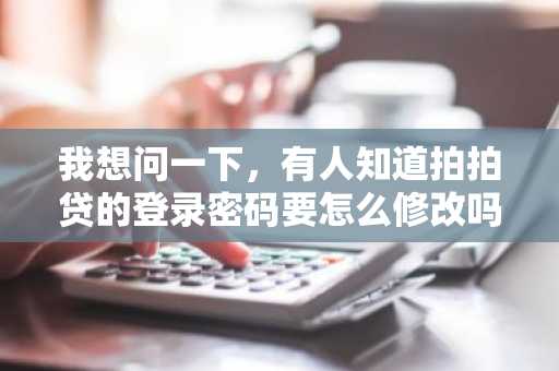 我想问一下，有人知道拍拍贷的登录密码要怎么修改吗？