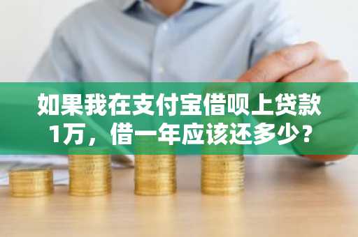 如果我在支付宝借呗上贷款1万，借一年应该还多少？