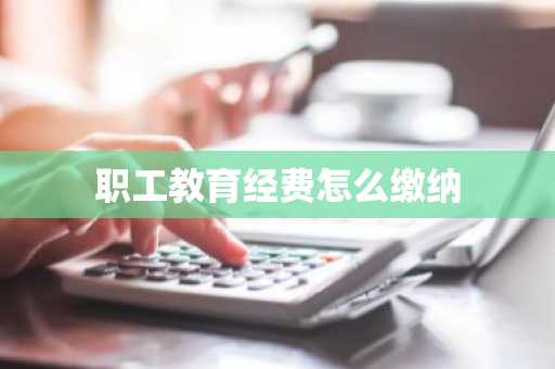 职工教育经费怎么缴纳