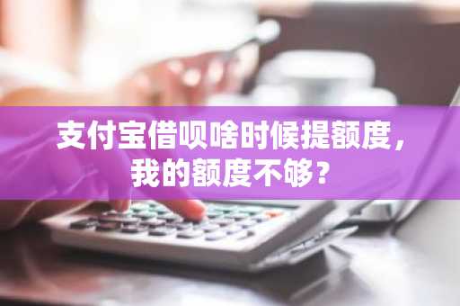 支付宝借呗啥时候提额度，我的额度不够？