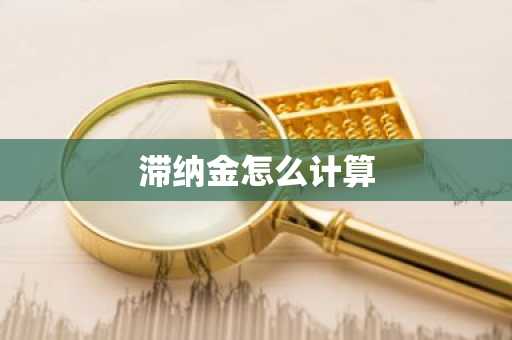 滞纳金怎么计算