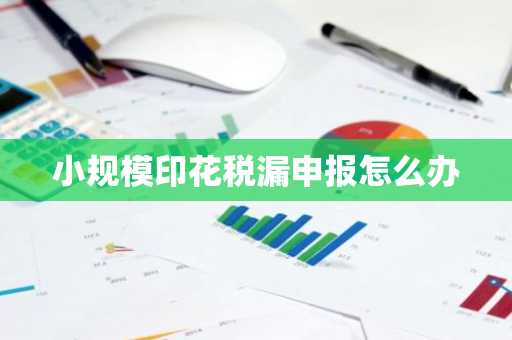小规模印花税漏申报怎么办