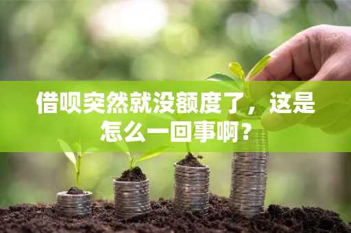 借呗突然就没额度了，这是怎么一回事啊？