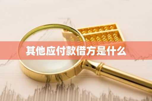 其他应付款借方是什么