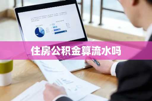住房公积金算流水吗