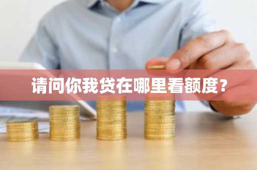 请问你我贷在哪里看额度？