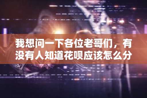我想问一下各位老哥们，有没有人知道花呗应该怎么分期啊？