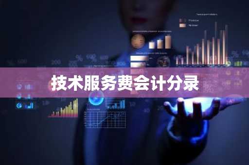 技术服务费会计分录