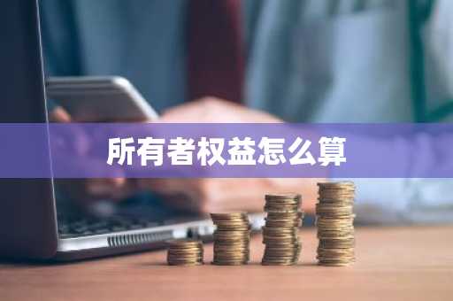 所有者权益怎么算