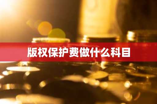版权保护费做什么科目