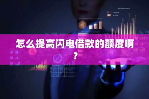 怎么提高闪电借款的额度啊？
