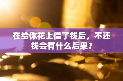 在给你花上借了钱后，不还钱会有什么后果？