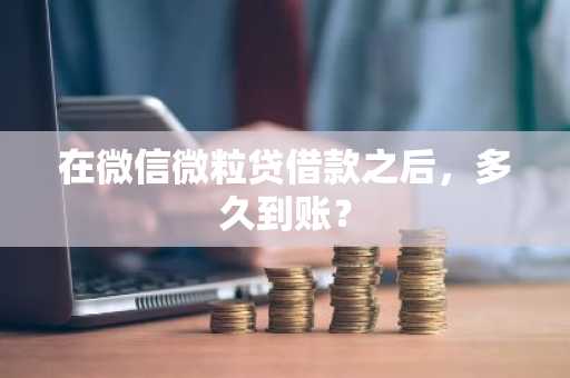 在微信微粒贷借款之后，多久到账？