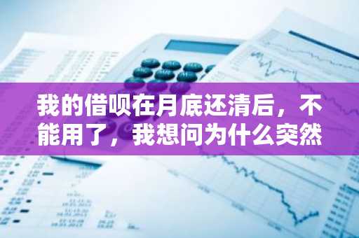 我的借呗在月底还清后，不能用了，我想问为什么突然就没有额度了啊？