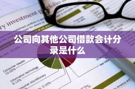 公司向其他公司借款会计分录是什么