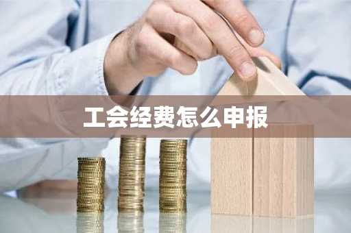 工会经费怎么申报