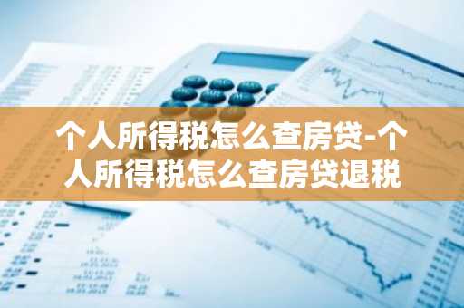 个人所得税怎么查房贷-个人所得税怎么查房贷退税