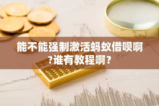 能不能强制激活蚂蚁借呗啊?谁有教程啊？