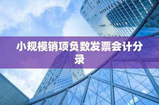 小规模销项负数发票会计分录