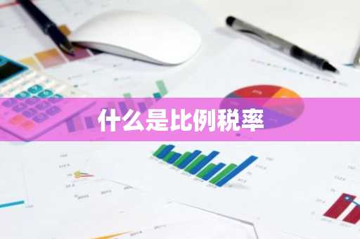 什么是比例税率