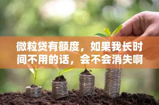 微粒贷有额度，如果我长时间不用的话，会不会消失啊?