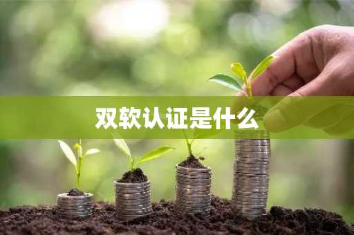 双软认证是什么