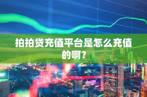 拍拍贷充值平台是怎么充值的啊？