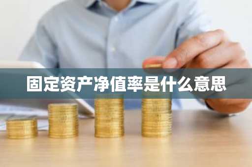 固定资产净值率是什么意思