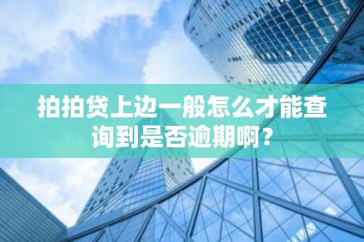 拍拍贷上边一般怎么才能查询到是否逾期啊？