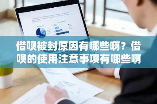 借呗被封原因有哪些啊？借呗的使用注意事项有哪些啊？