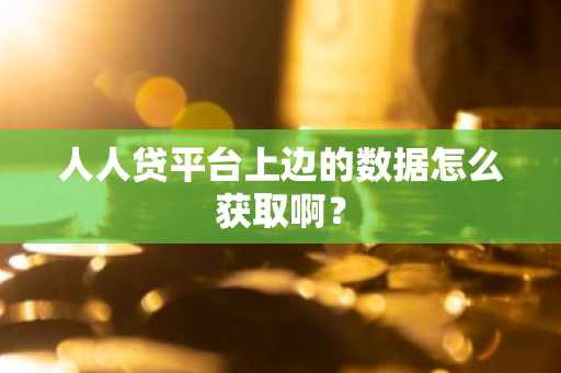人人贷平台上边的数据怎么获取啊？