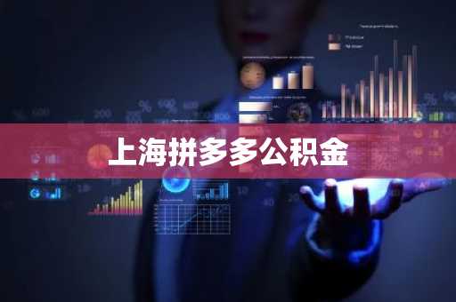 上海拼多多公积金