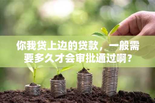 你我贷上边的贷款，一般需要多久才会审批通过啊？