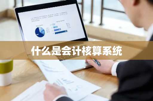 什么是会计核算系统