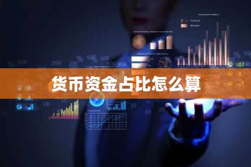 货币资金占比怎么算
