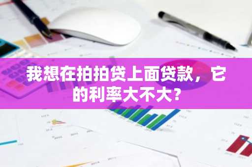 我想在拍拍贷上面贷款，它的利率大不大？