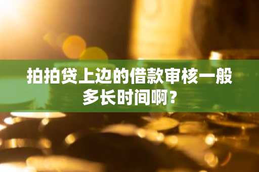 拍拍贷上边的借款审核一般多长时间啊？
