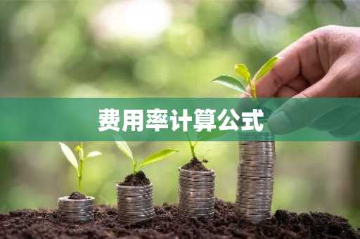 费用率计算公式