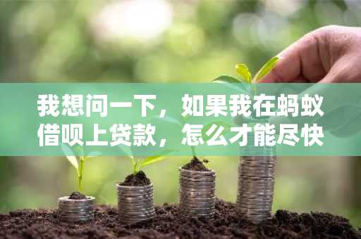 我想问一下，如果我在蚂蚁借呗上贷款，怎么才能尽快到账？