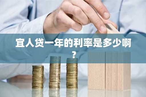 宜人贷一年的利率是多少啊？
