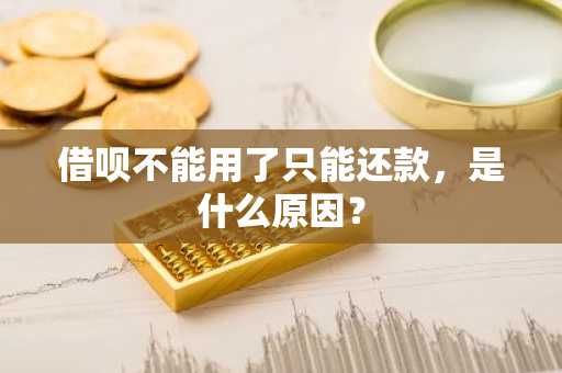 借呗不能用了只能还款，是什么原因？