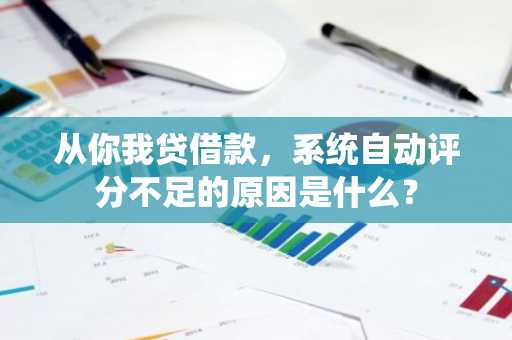 从你我贷借款，系统自动评分不足的原因是什么？